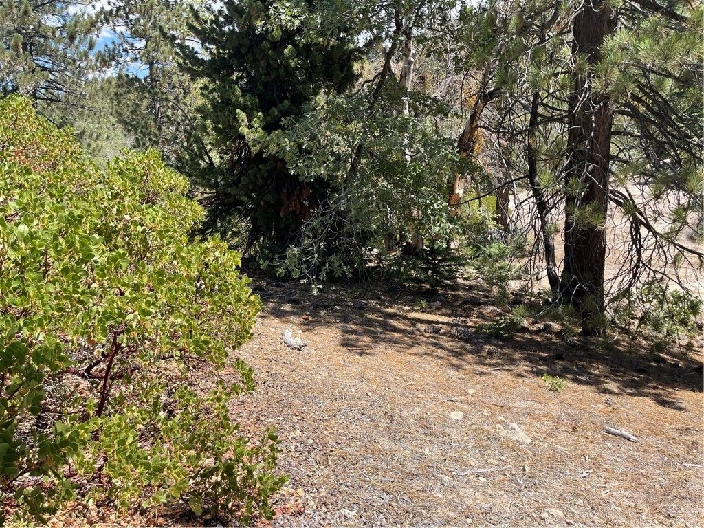 0 Arrowbear, Running Springs, CA 92382