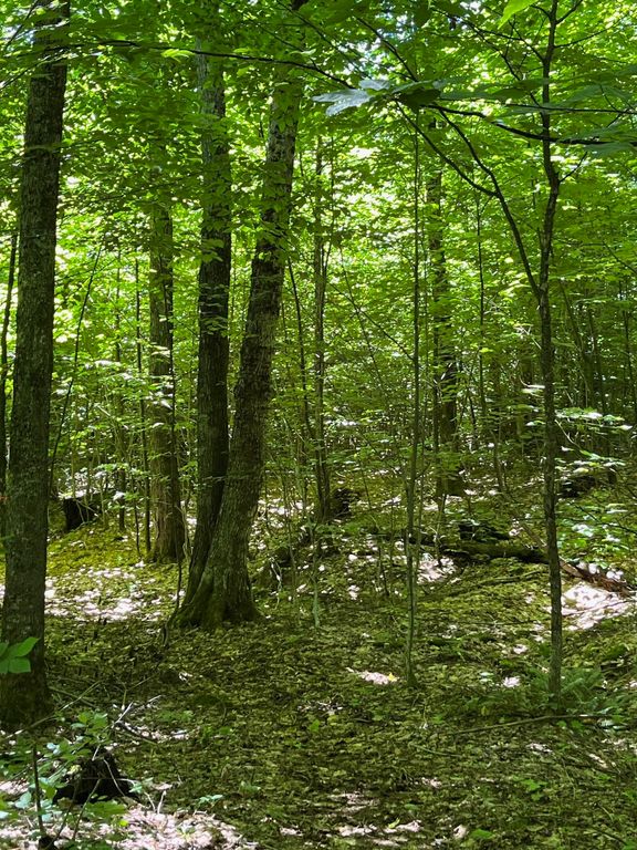 3C Westover Road, Jay, VT 05859