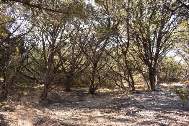Lot 35 Riparian Elm RD, Bertram, TX 78605