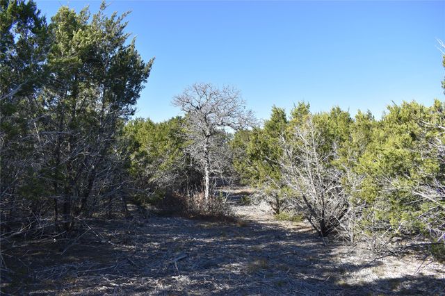 Lot 35 Riparian Elm RD, Bertram, TX 78605