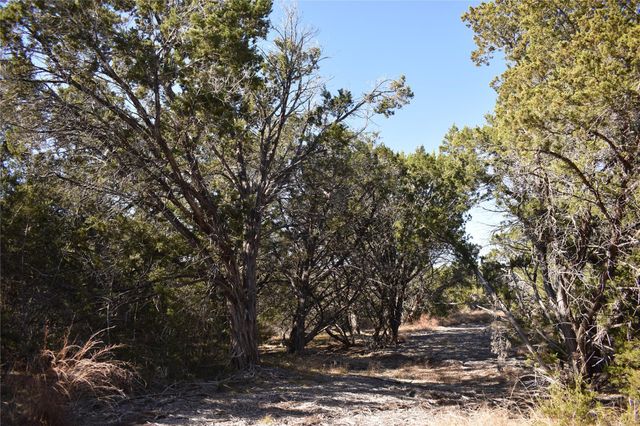 Lot 35 Riparian Elm RD, Bertram, TX 78605