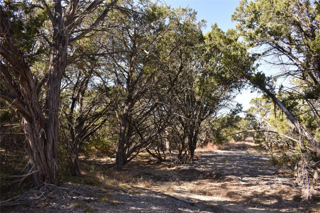 Lot 35 Riparian Elm RD, Bertram, TX 78605
