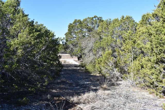 Lot 35 Riparian Elm RD, Bertram, TX 78605