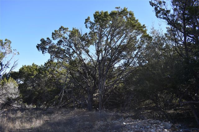 Lot 35 Riparian Elm RD, Bertram, TX 78605