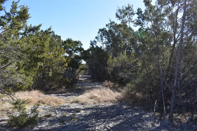 Lot 35 Riparian Elm RD, Bertram, TX 78605