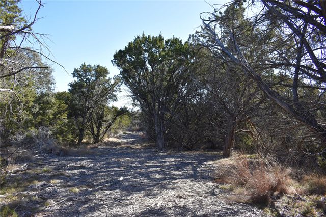Lot 35 Riparian Elm RD, Bertram, TX 78605