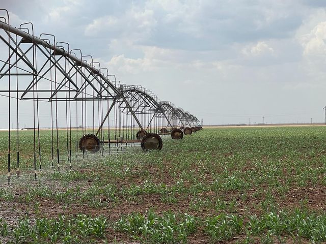 1711 FM 194, Plainview, TX 79072