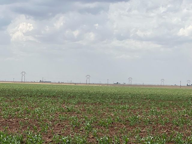 1711 FM 194, Plainview, TX 79072