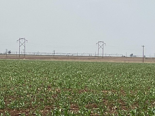 1711 FM 194, Plainview, TX 79072