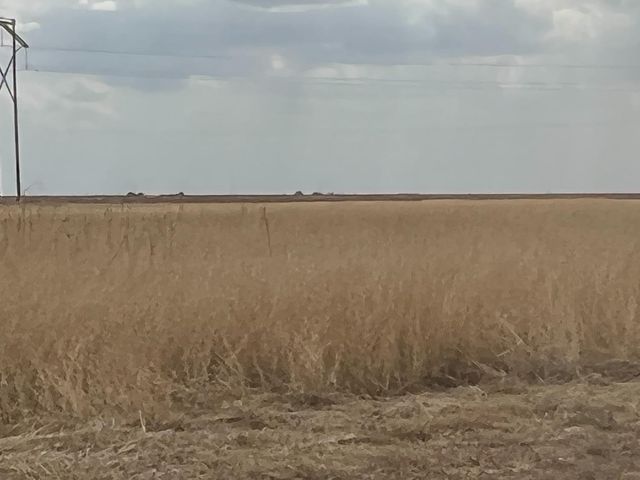 1711 FM 194, Plainview, TX 79072