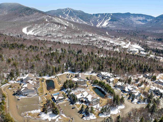 5B Owls at Smugglers Notch Resort, Cambridge, VT 05444