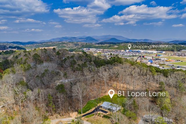 81 Loper Lane, Ellijay, GA 30536