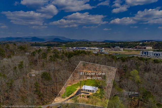 81 Loper Lane, Ellijay, GA 30536