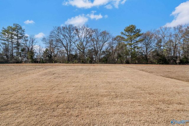 15287 Lapwing Cove, Athens, AL 35611