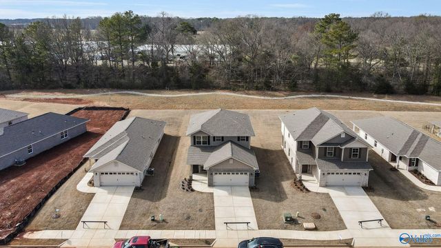 15287 Lapwing Cove, Athens, AL 35611