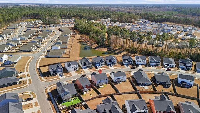 4420 Palm Shadow Drive, Summerville, SC 29485