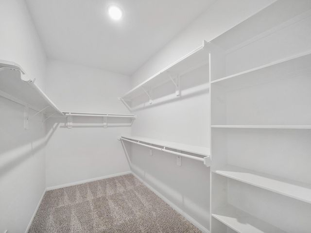 15102 Wiltshire Castle Ln, Houston, TX 77044