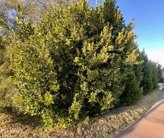 1802 E MISSOURI Avenue, Phoenix, AZ 85016