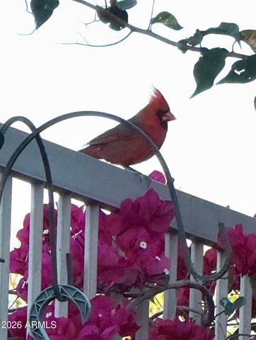 18821 E BLUE SKY Drive, Rio Verde, AZ 85263