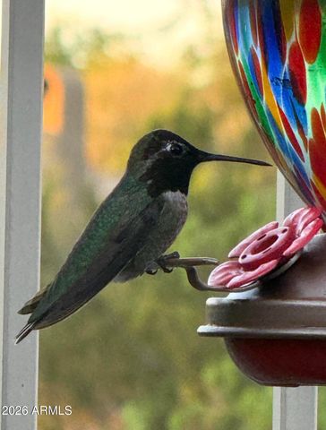 18821 E BLUE SKY Drive, Rio Verde, AZ 85263