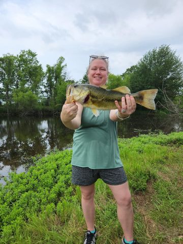 TBD C CR 2813, Eustace, TX 75124