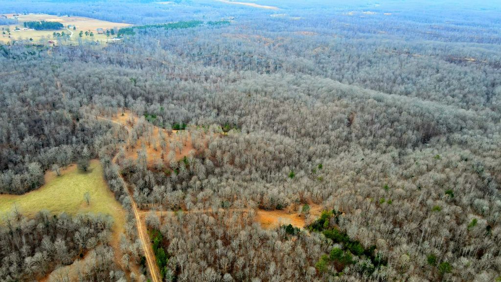 1090 Brown Mill Rd, Mc Ewen, TN 37101