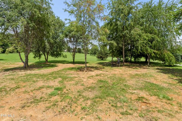 1505 Jearoldstown Road, Chuckey, TN 37641