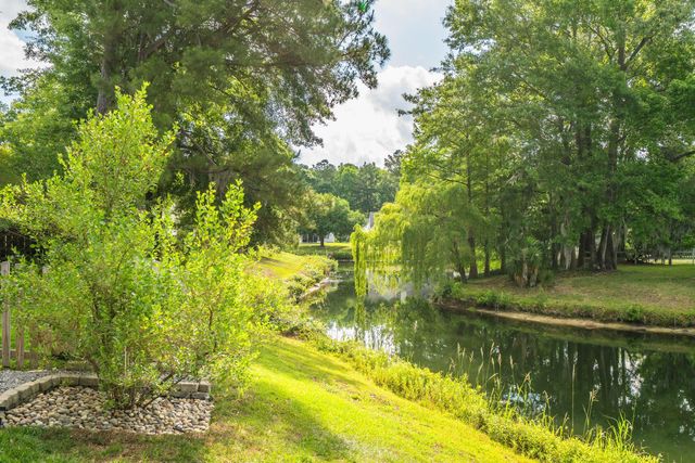 224 Sugar Magnolia Way, Charleston, SC 29414