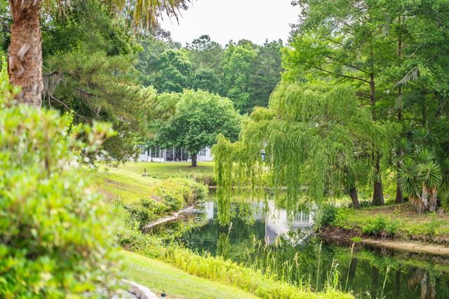 224 Sugar Magnolia Way, Charleston, SC 29414