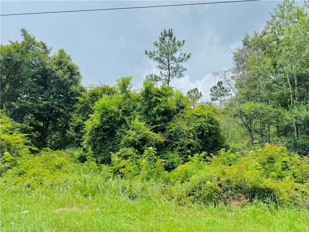 0 Leroy Stevens Road, Mobile, AL 36619 — photo 2