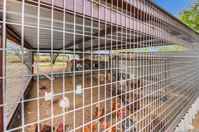 1602 Chaparral, Pearsall, TX 78061