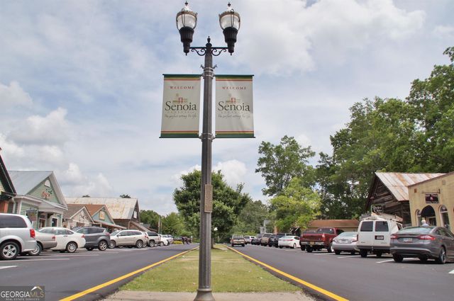 355 Werner Way, Senoia, GA 30276