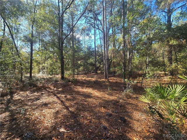 11370 N Ortega Point, Dunnellon, FL 34433