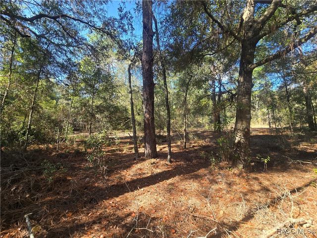 11370 N Ortega Point, Dunnellon, FL 34433