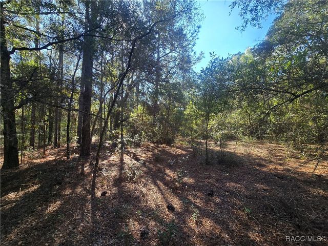 11370 N Ortega Point, Dunnellon, FL 34433