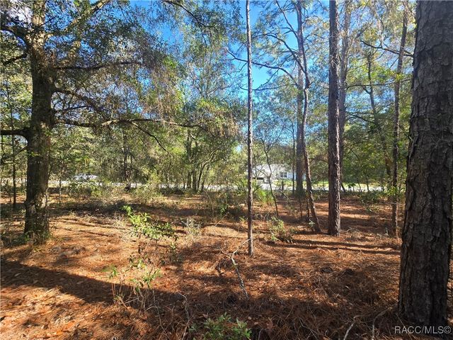 11370 N Ortega Point, Dunnellon, FL 34433