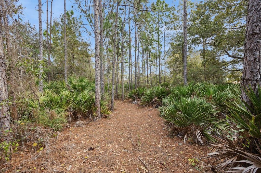 Image 24 of property listing at 7060 BRIDLE PATH, St Cloud, FL 34771