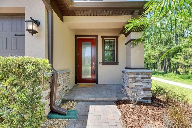 4899 ISOLA COURT, Wesley Chapel, FL 33543