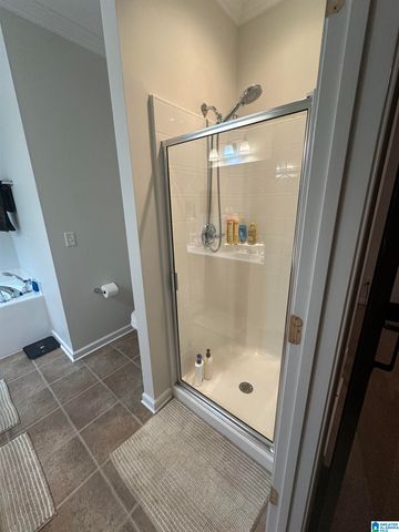 6505 SOUTHERN TRACE DRIVE, Leeds, AL 35094