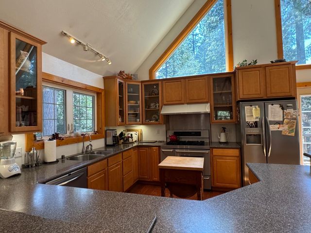 19380 Ponderosa Dr, Pioneer, CA 95666