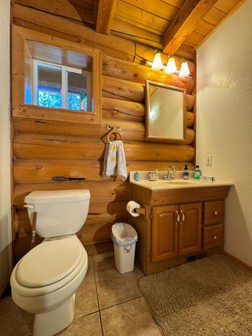 19380 Ponderosa Dr, Pioneer, CA 95666