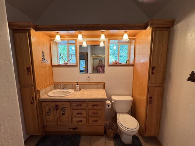 19380 Ponderosa Dr, Pioneer, CA 95666
