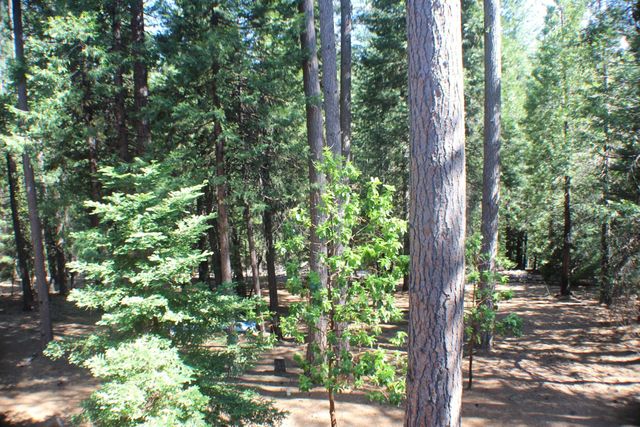 19380 Ponderosa Dr, Pioneer, CA 95666