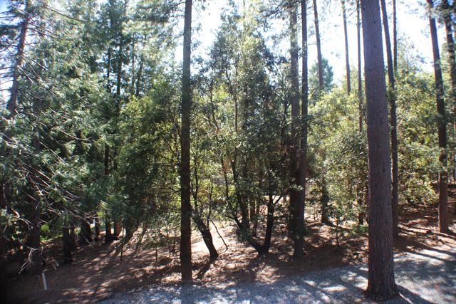 19380 Ponderosa Dr, Pioneer, CA 95666