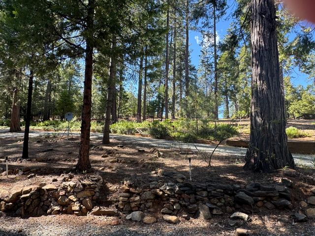 19380 Ponderosa Dr, Pioneer, CA 95666