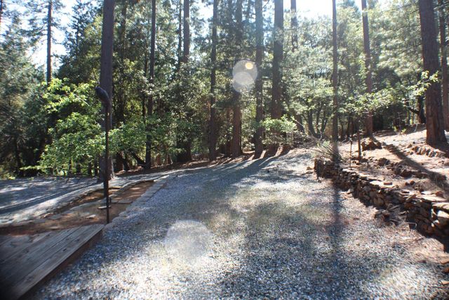 19380 Ponderosa Dr, Pioneer, CA 95666