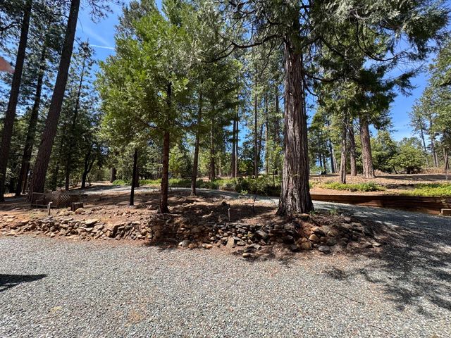 19380 Ponderosa Dr, Pioneer, CA 95666