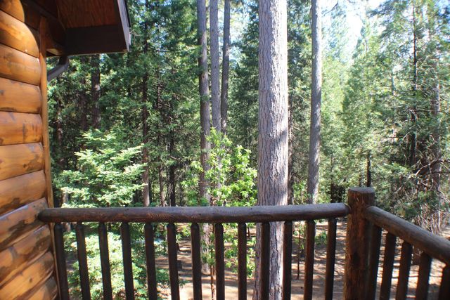 19380 Ponderosa Dr, Pioneer, CA 95666