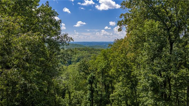 130 Raptor Way, Landrum, SC 29356