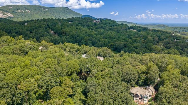 130 Raptor Way, Landrum, SC 29356